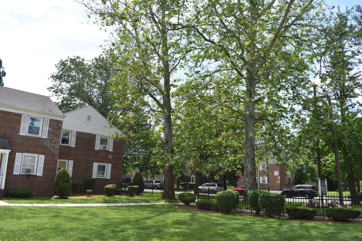 Apartment for rent at 750 E Front St, Plainfield, NJ 07060