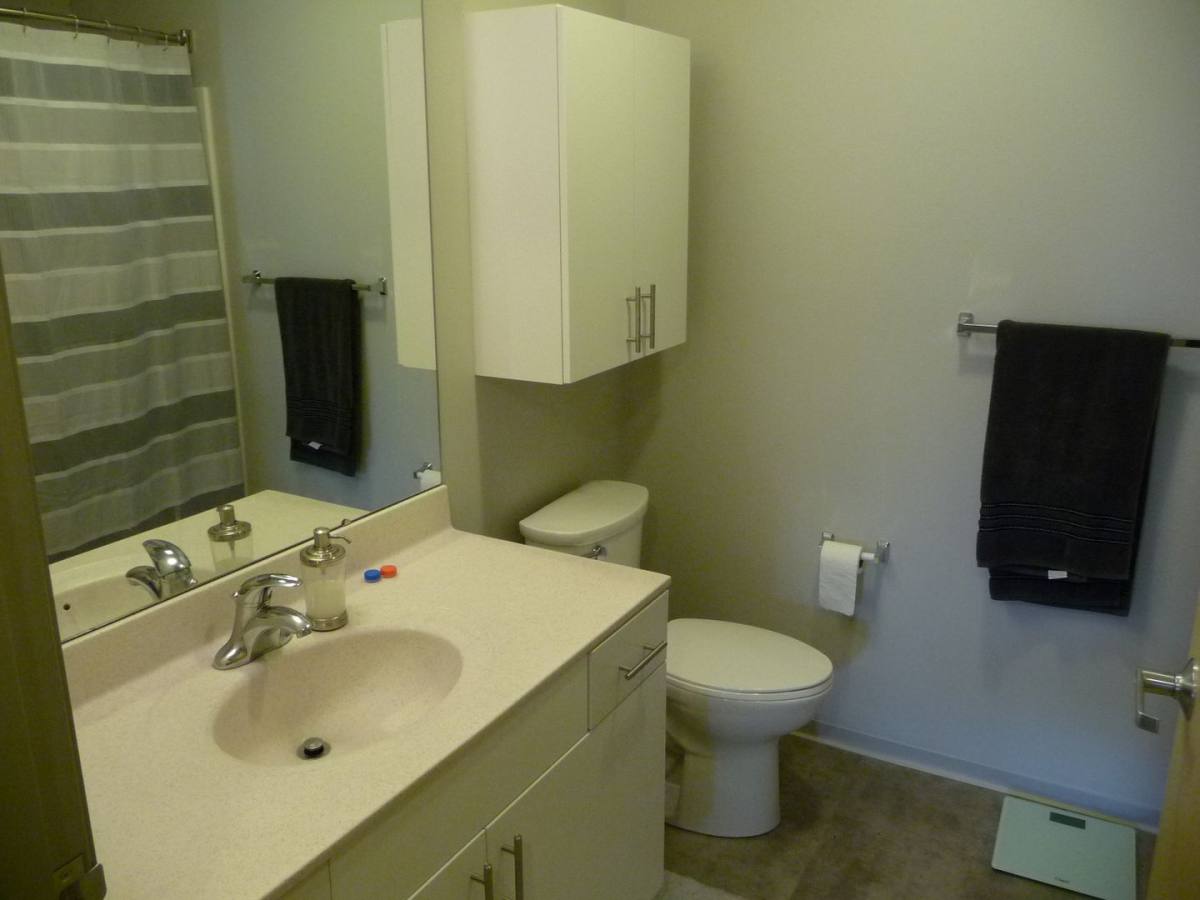 Apartment for rent at 313 N Frances St, Madison, WI 53703