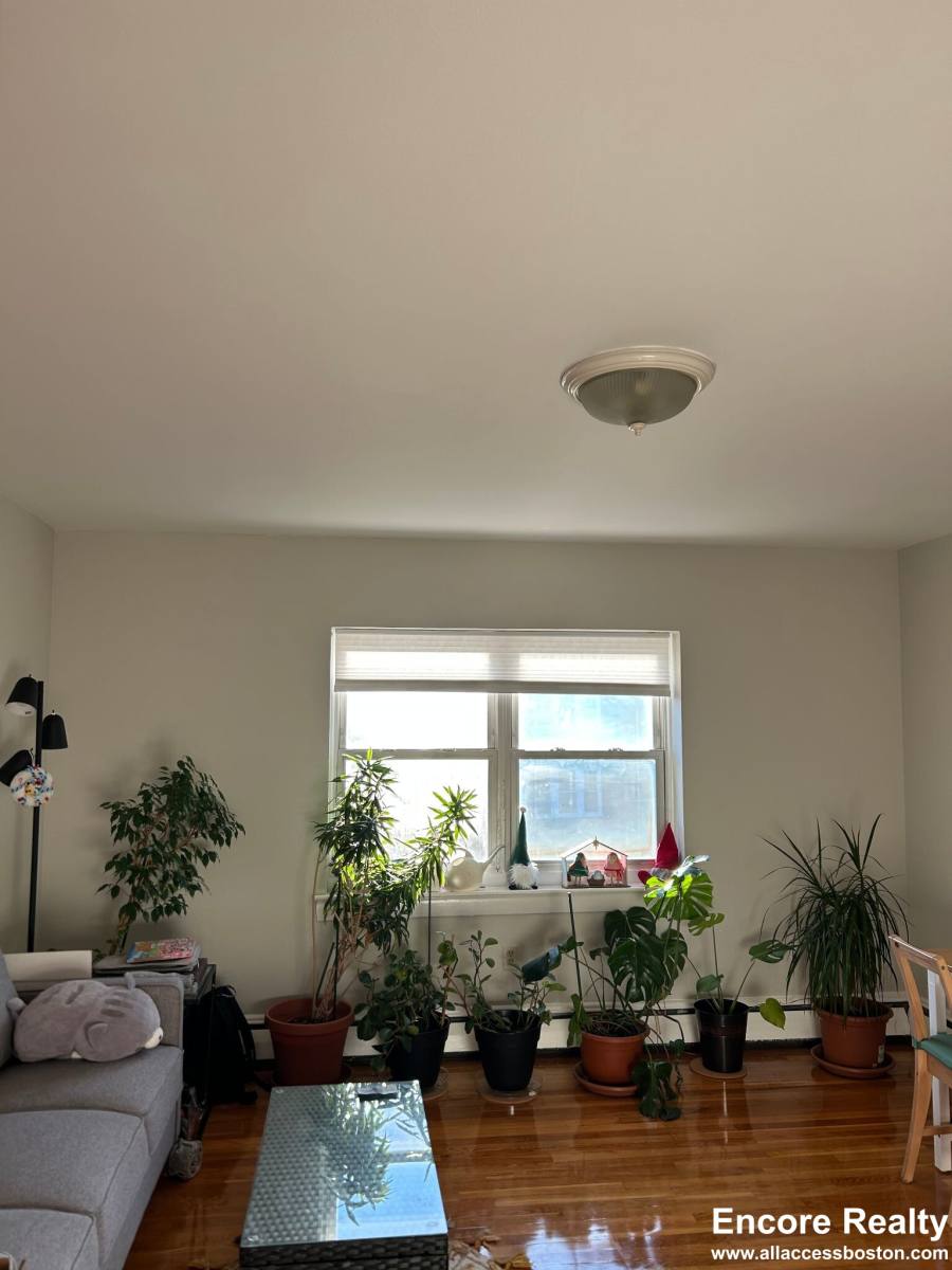 Apartment for rent at 61 Selkirk Rd #17, Boston, MA 02115