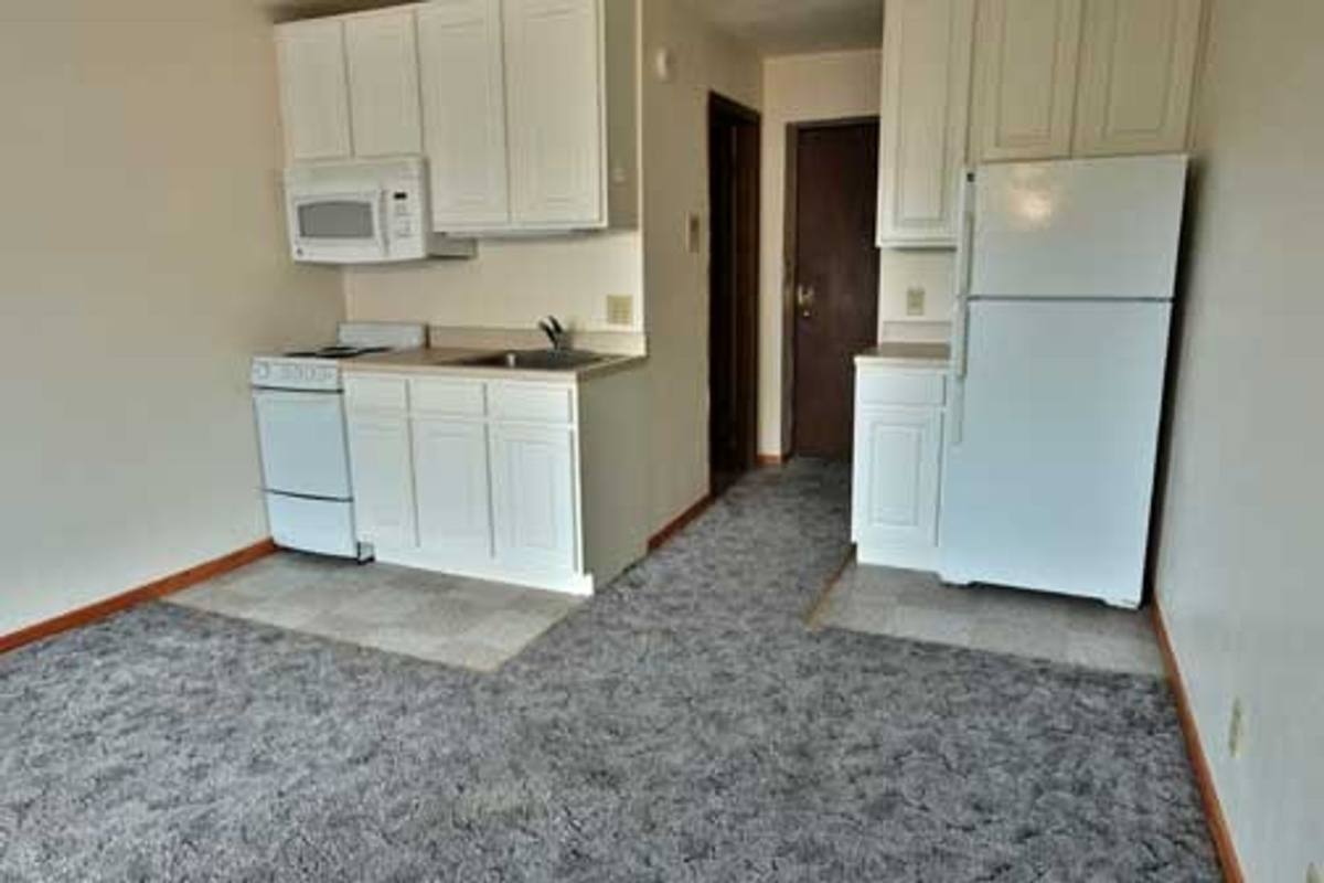 Apartment for rent at 237 W Lakelawn Place, Madison, WI 53703