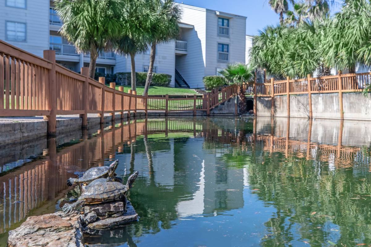 Apartment for rent at 7400 Jones Dr, Galveston, TX 77551