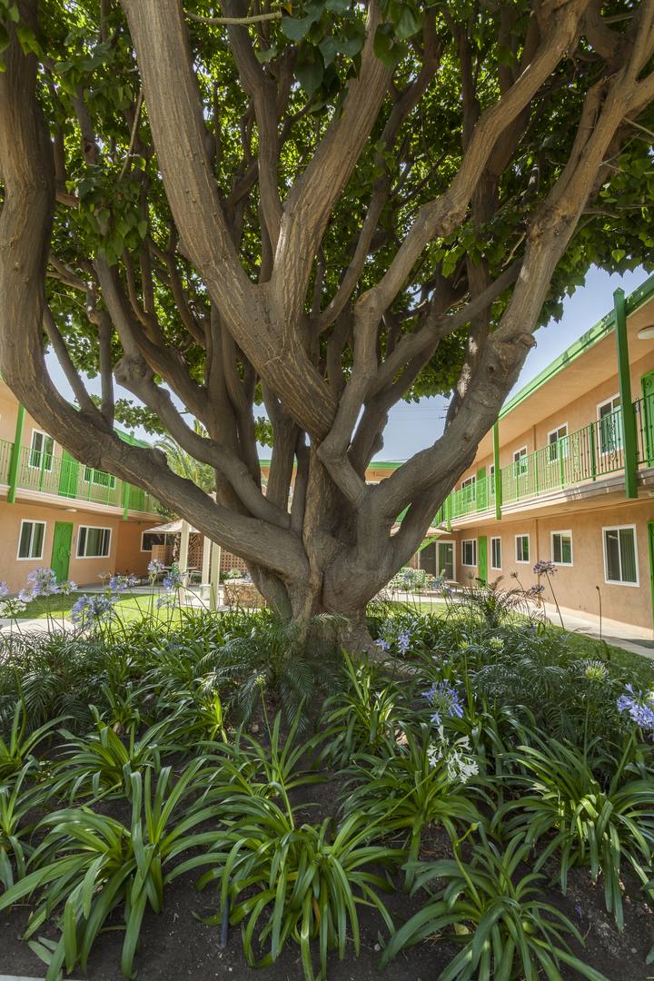 Apartment for rent at 17908 Woodruff Ave, Bellflower, CA 90706