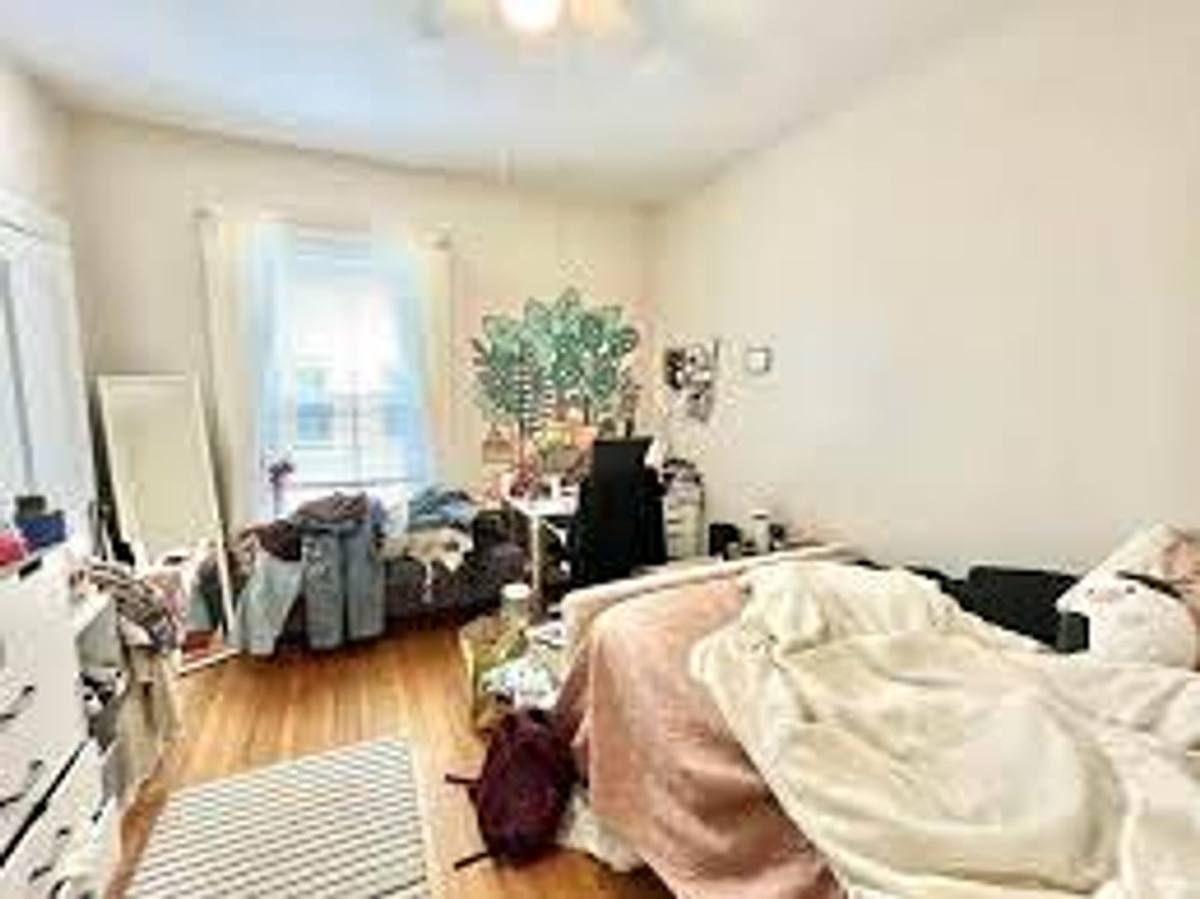 Apartment for rent at 85 Egmont St #2, Brookline, MA 02446