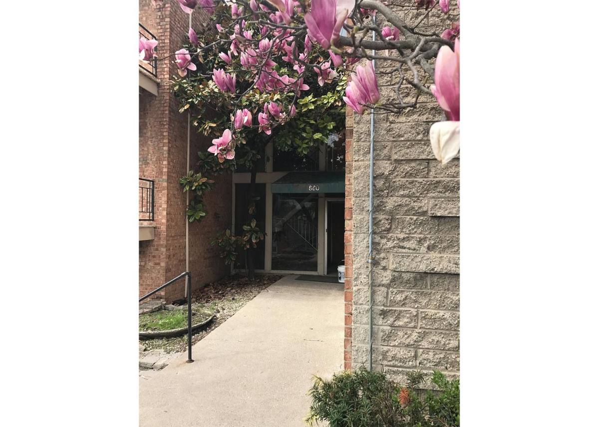 Apartment for rent at 880 Lafayette Ave, Cincinnati, OH 45220