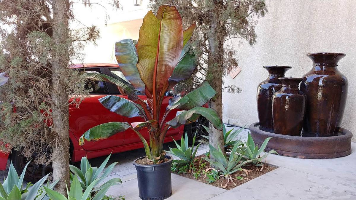 Apartment for rent at 1850 Morton Ave, Los Angeles, CA 90026