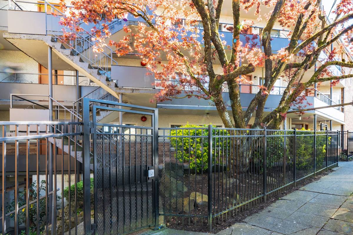 Apartment for rent at 7320 Winona Ave N, Seattle, WA 98103