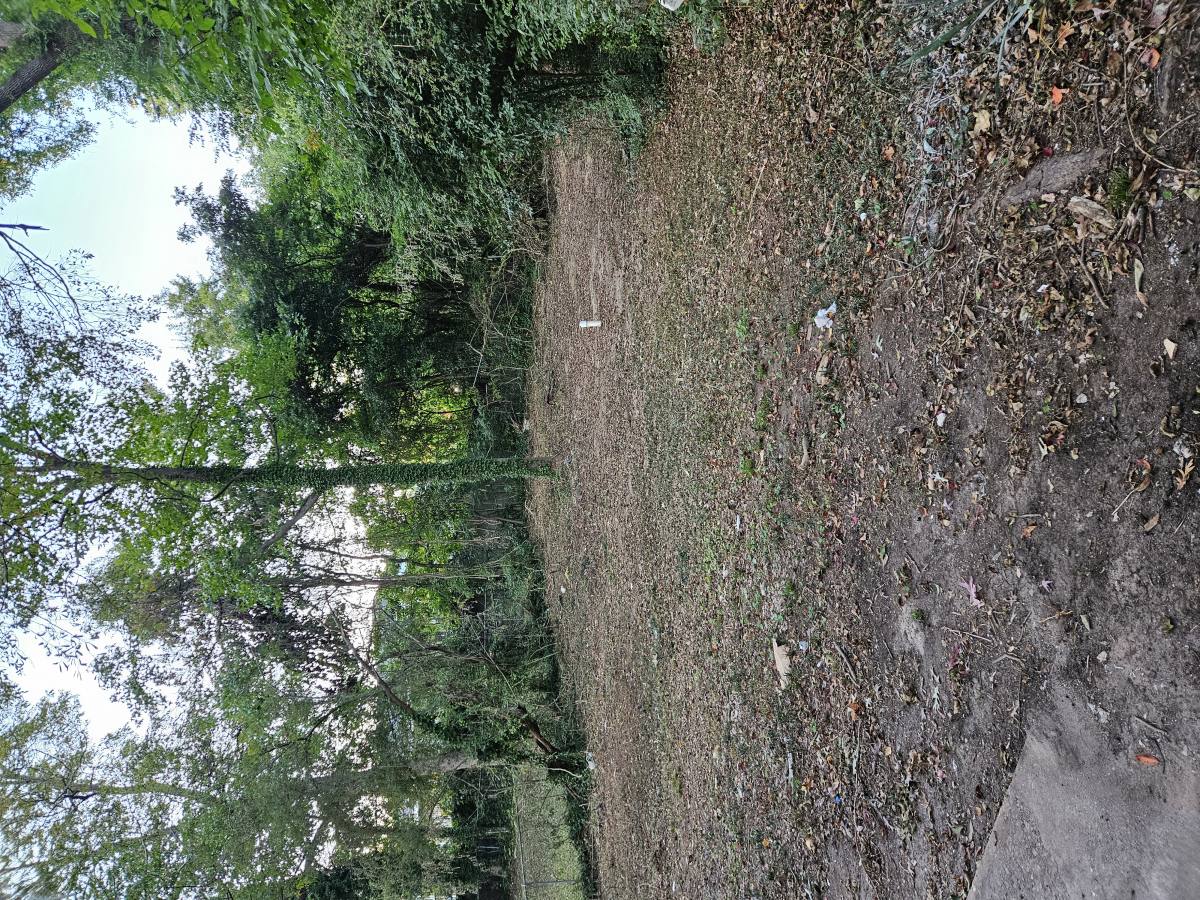 Apartment for rent at 1341 Pine Ave, Atlanta, GA 30344