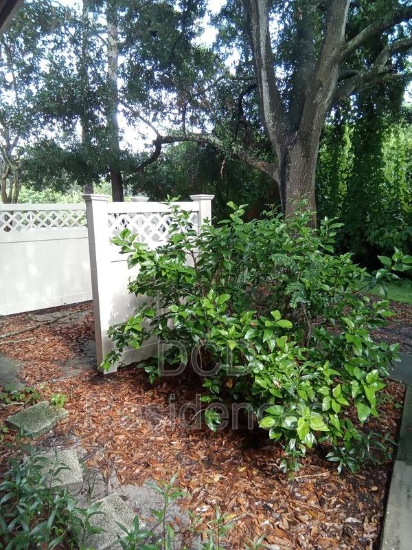 Apartment for rent at 11431 #6, Port Richey, FL 34668