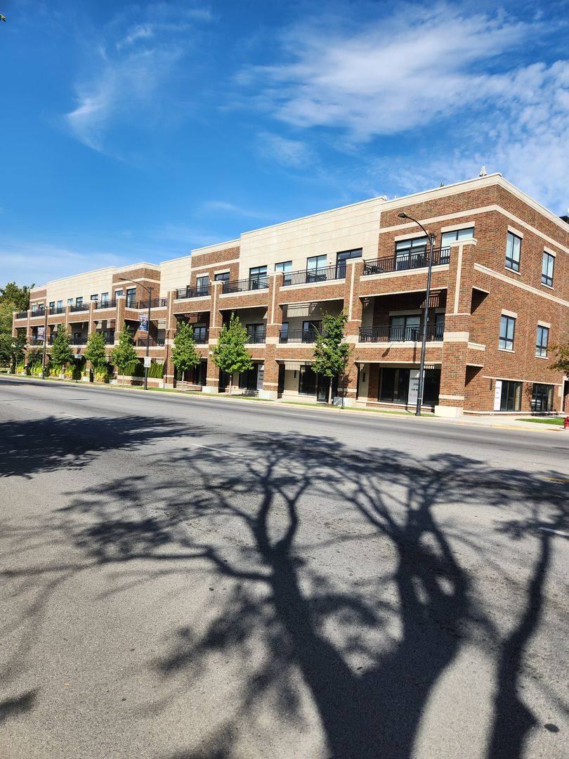 Apartment for rent at 1610 N Normandy Ave, Elmwood Park, IL 60707