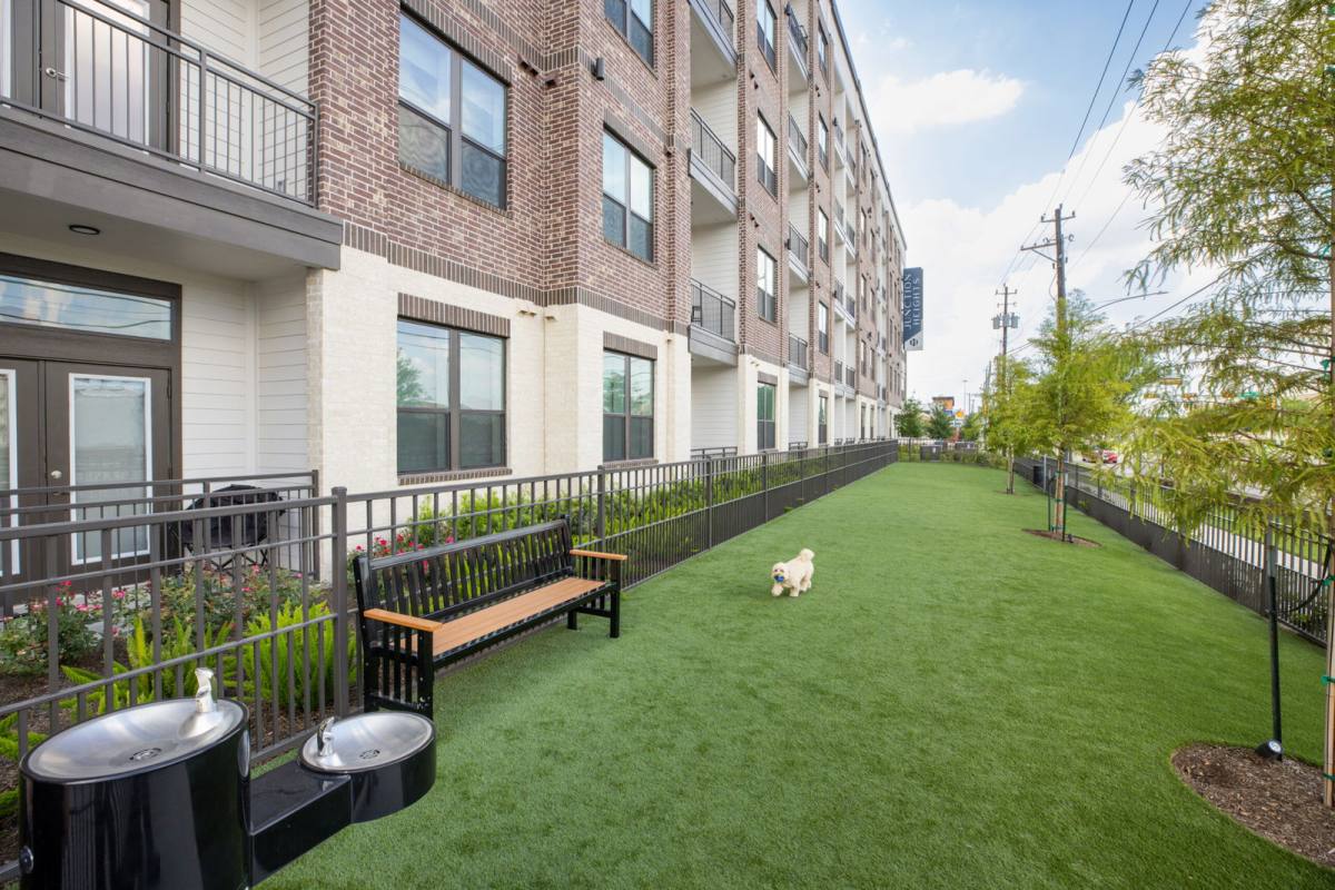 Apartment for rent at 3003 Summer St #208, Houston, TX 77007