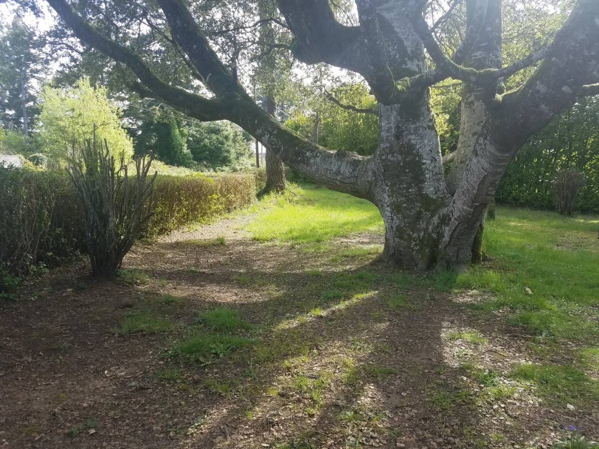 House for rent at 90921 Libby Lane, Coos Bay, OR 97420