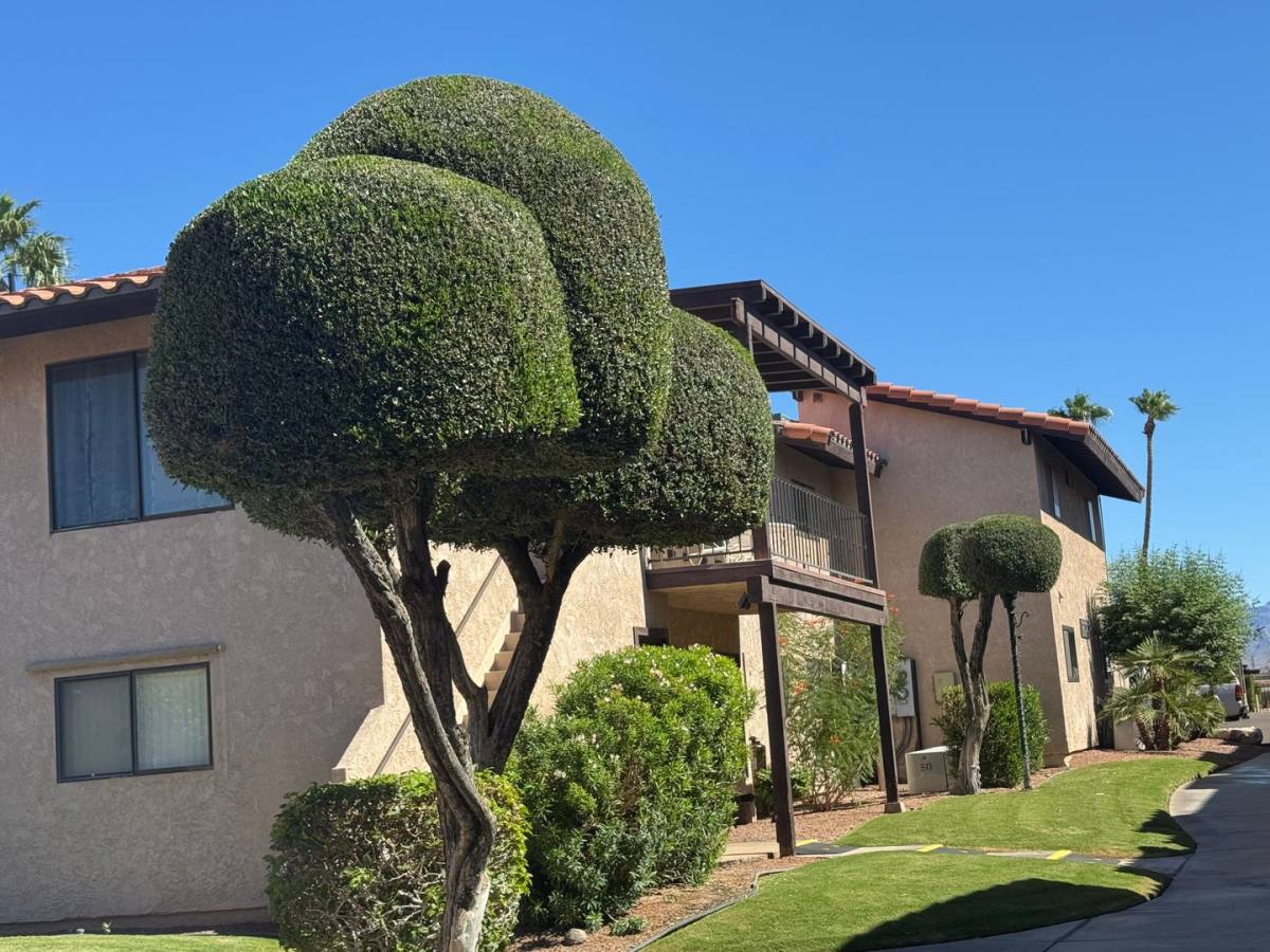 Condo for rent at 201 Riverfront Dr, Bullhead City, AZ 86442