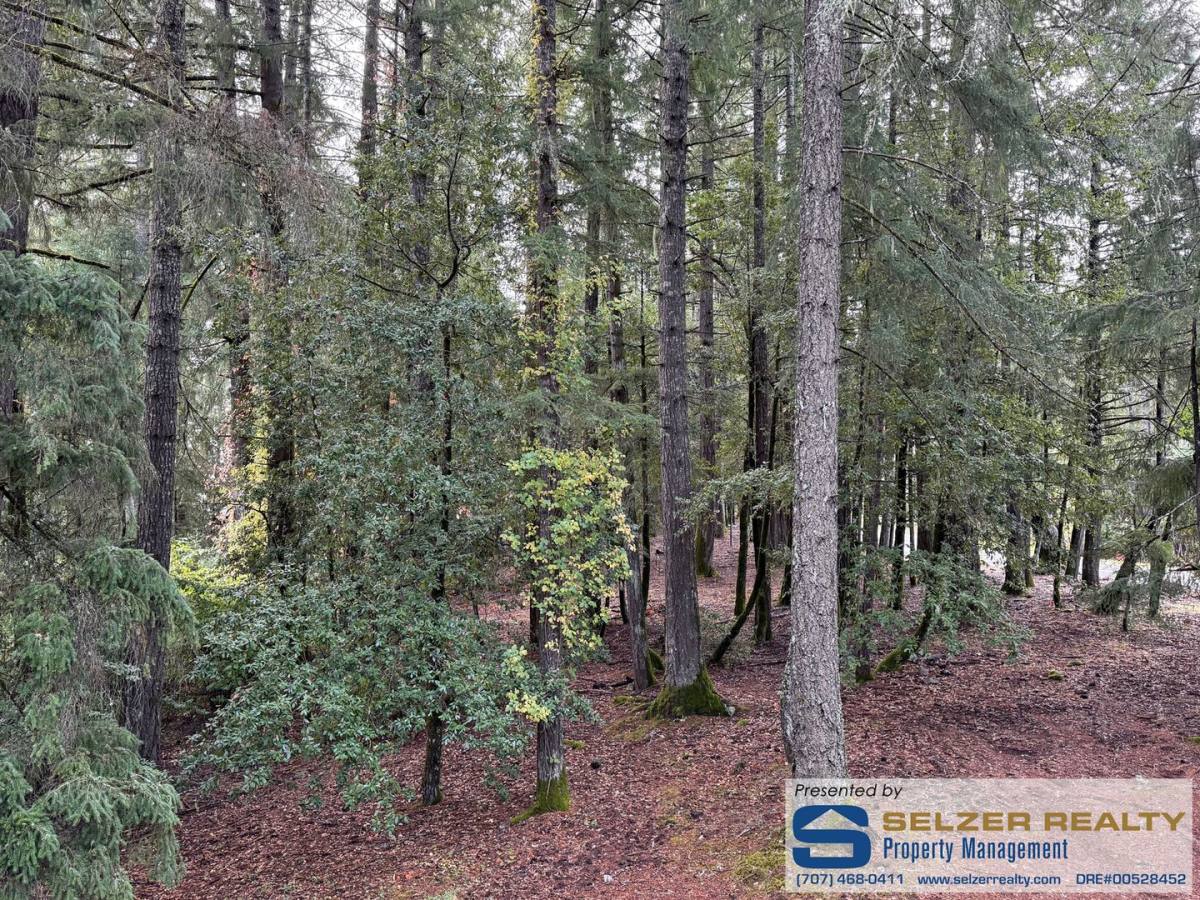 Apartment for rent at 25217 Sherwood Rd, Willits, CA 95490