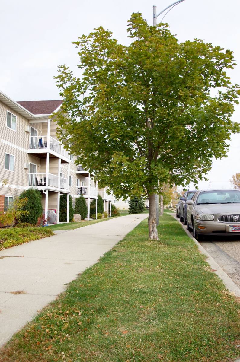 Apartment for rent at 2112-2113 Grimsrud Dr, Bismarck, ND 58501