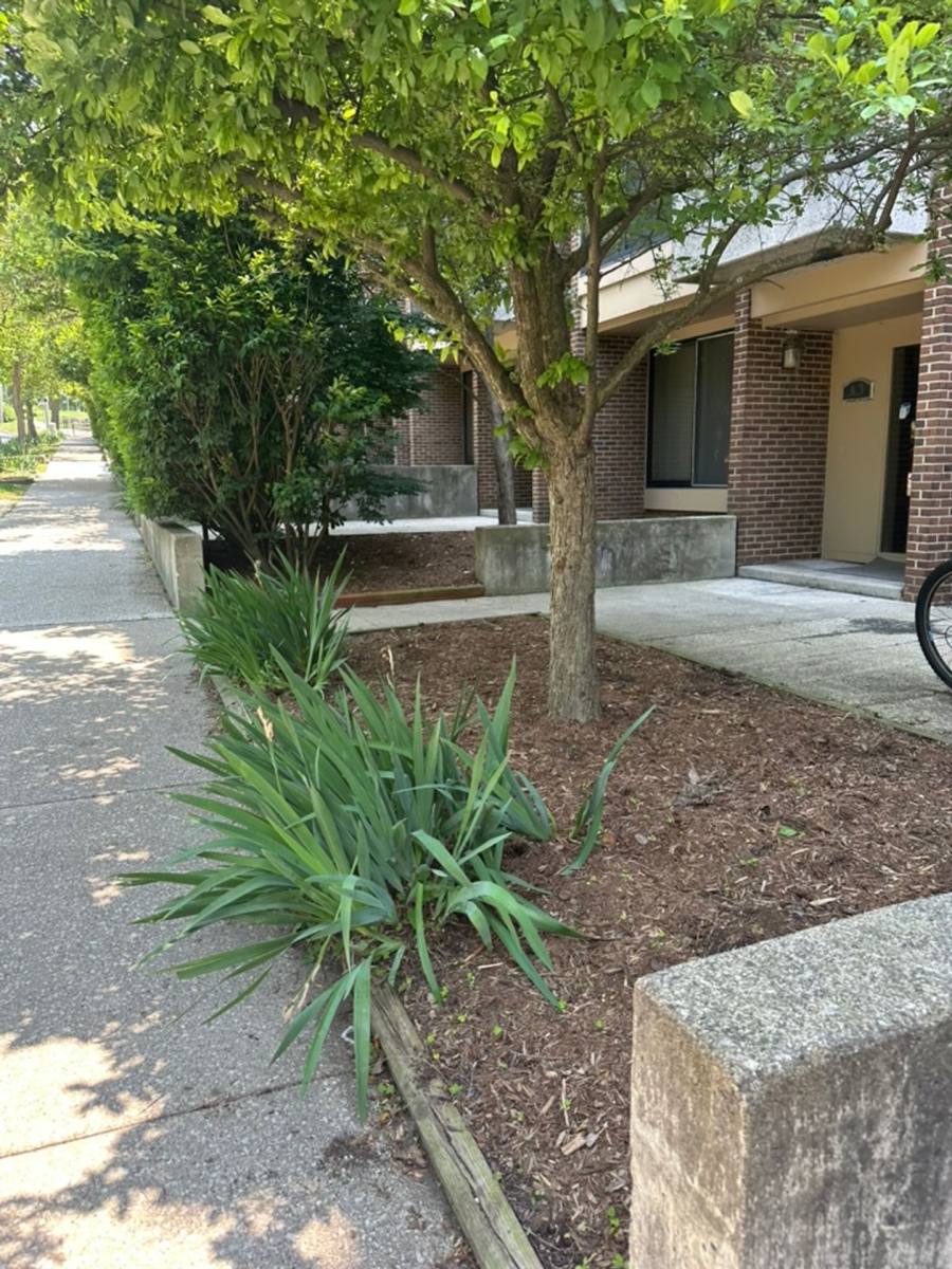 Apartment for rent at 1700 Geddes Ave, Ann Arbor, MI 48104