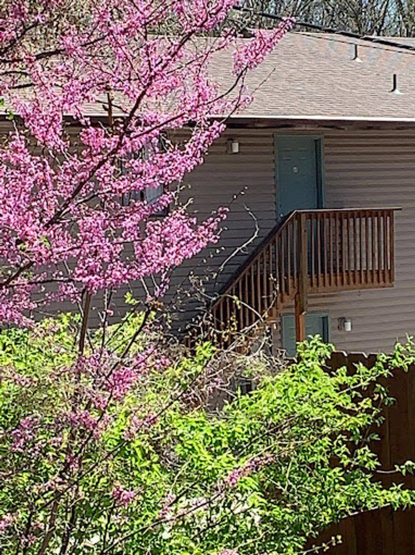 Apartment for rent at 1626 University Ave, Columbia, MO 65201