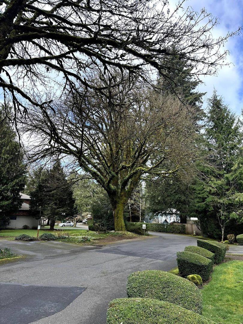 House for rent at 2821 60th Lane SE, Olympia, WA 98501