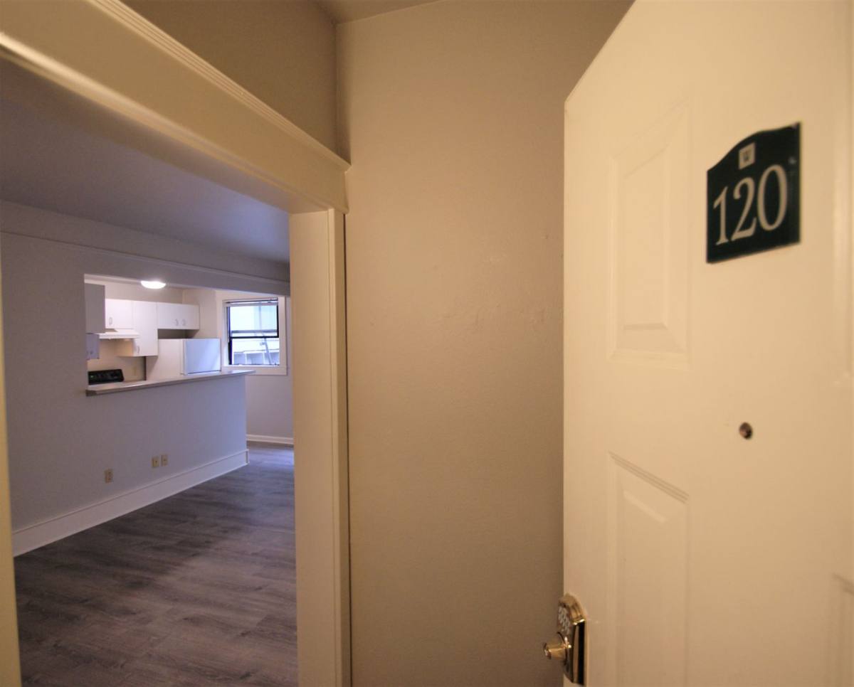 Apartment for rent at 320 Cedar St, Seattle, WA 98121