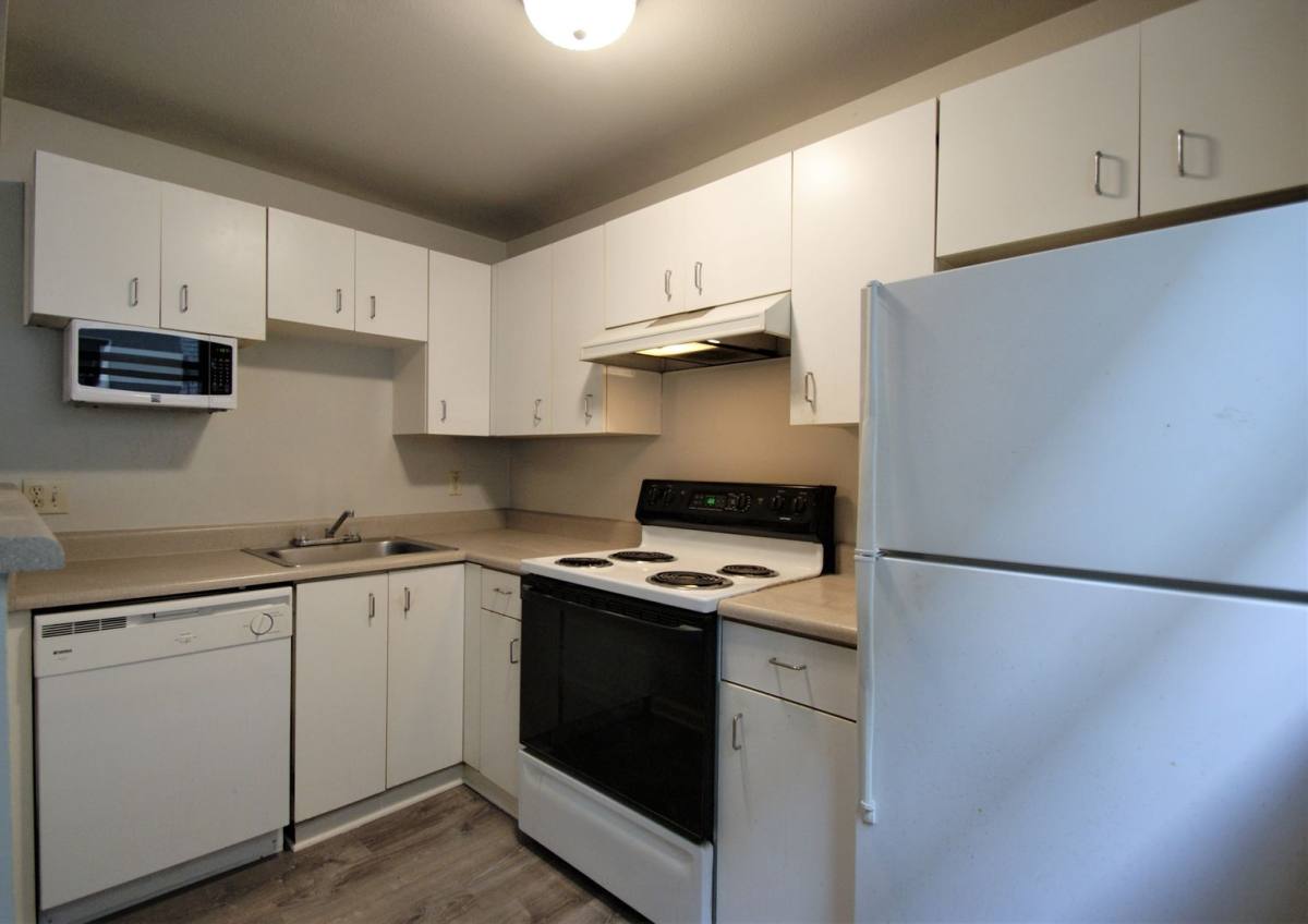 Apartment for rent at 320 Cedar St, Seattle, WA 98121