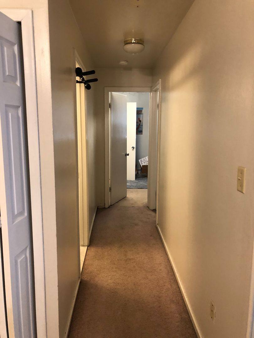 Apartment for rent at 521 Walnut, Ann Arbor, MI 48104
