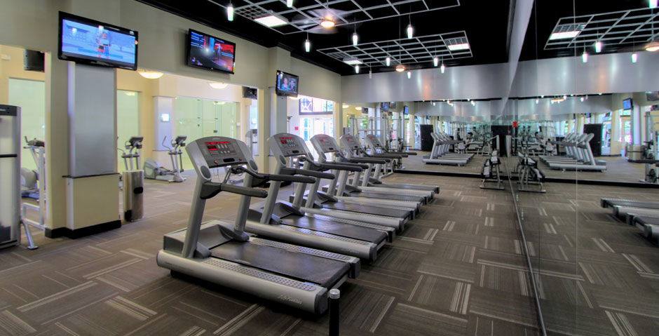 Apartment for rent at 1819 S Braeswood Blvd #C-816, Houston, TX 77030