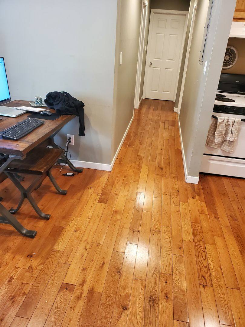 Apartment for rent at 526 Packard, Ann Arbor, MI 48104