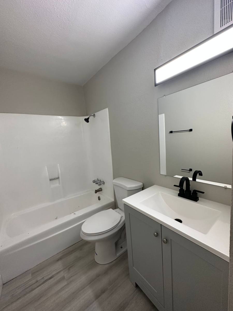 Apartment for rent at 808 7th St, Windsor, CO 80550