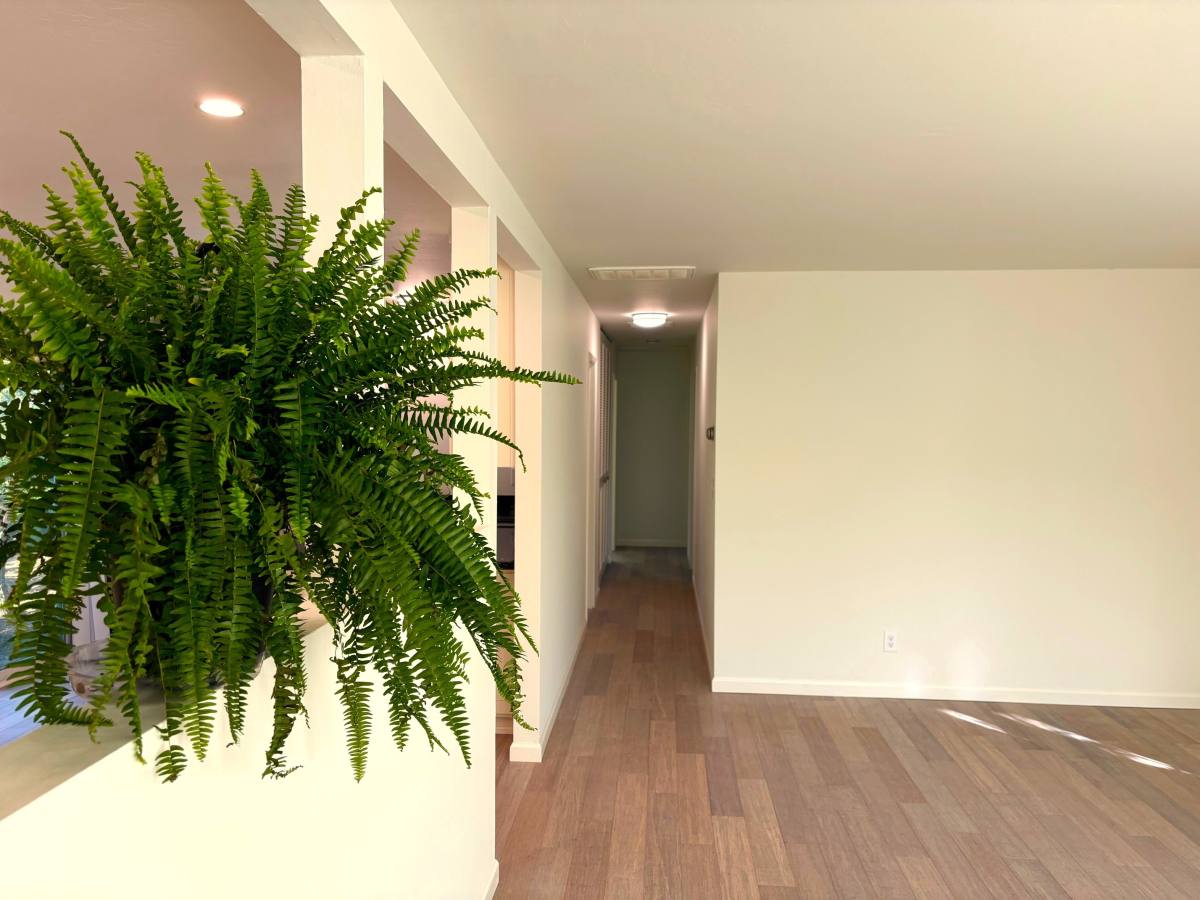 House for rent at 2 Hallin Dr, Santa Rosa, CA 95409