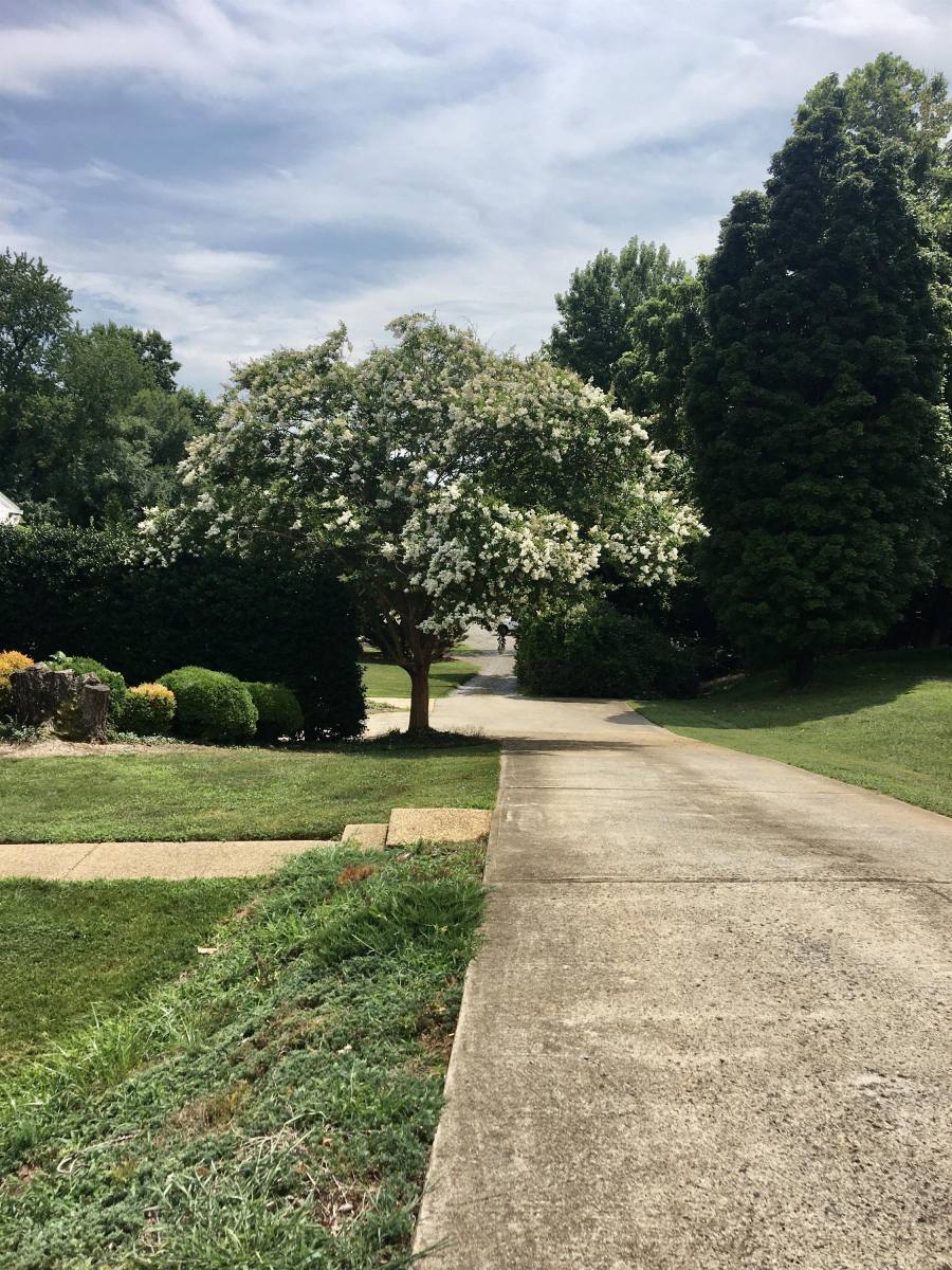 House for rent at 2421 Old Forest Rd, Lynchburg, VA 24501