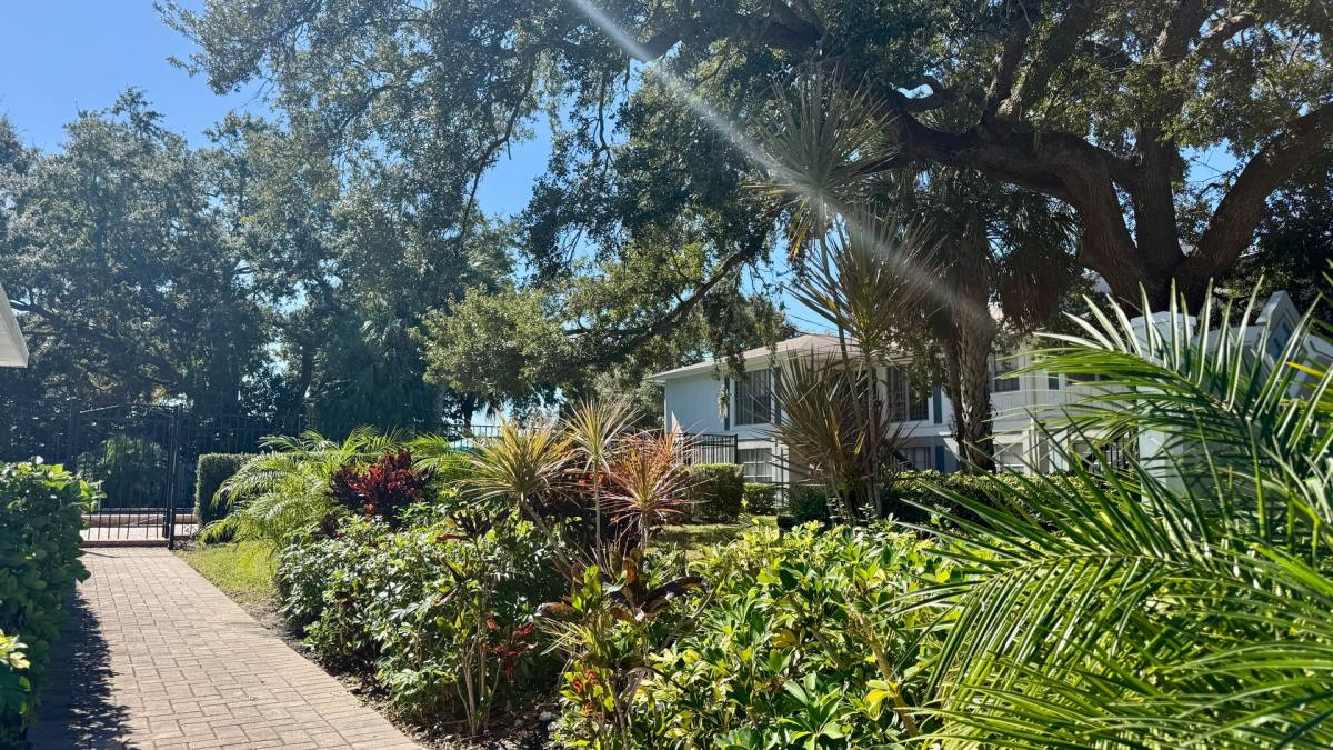 Apartment for rent at 301 Seacrest Dr, Largo, FL 33771