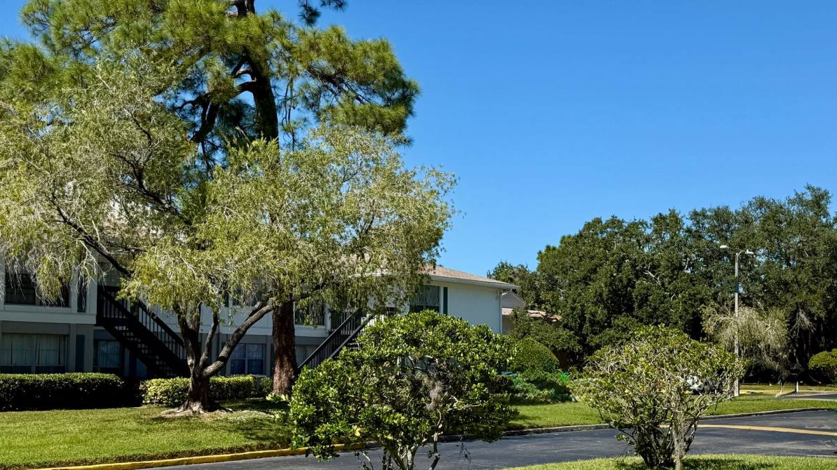 Apartment for rent at 301 Seacrest Dr, Largo, FL 33771