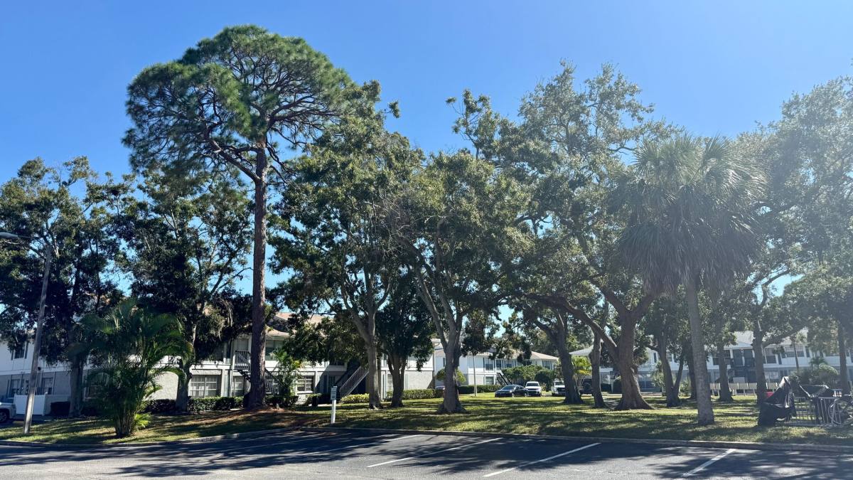 Apartment for rent at 301 Seacrest Dr, Largo, FL 33771