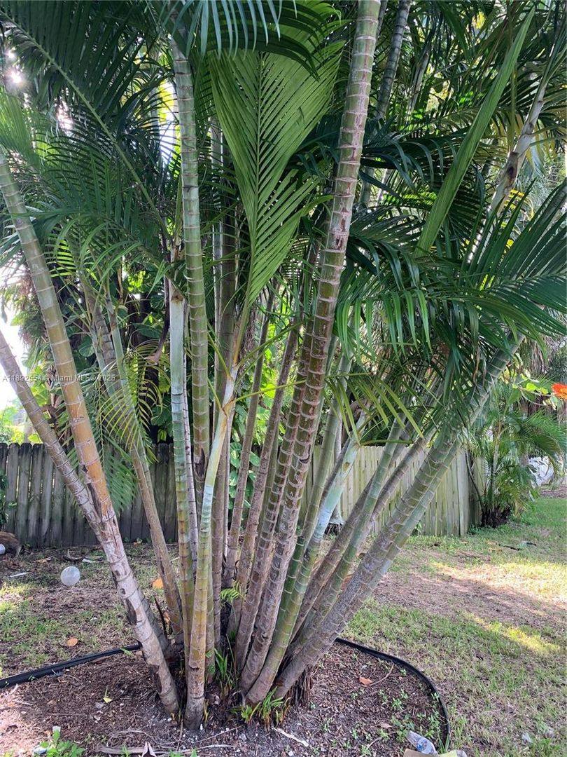 House for rent at 228 SE Park St, Dania, FL 33004