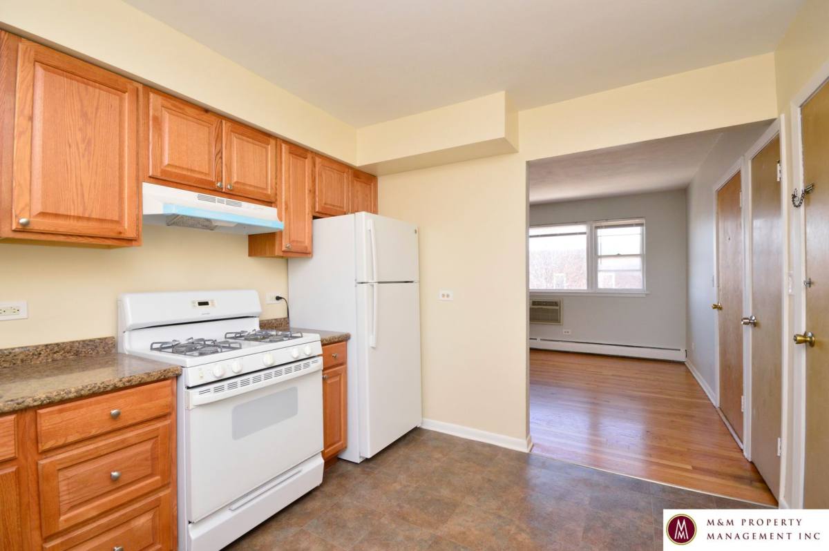 Apartment for rent at 1140 S Dunlop, Forest Park, IL 60130