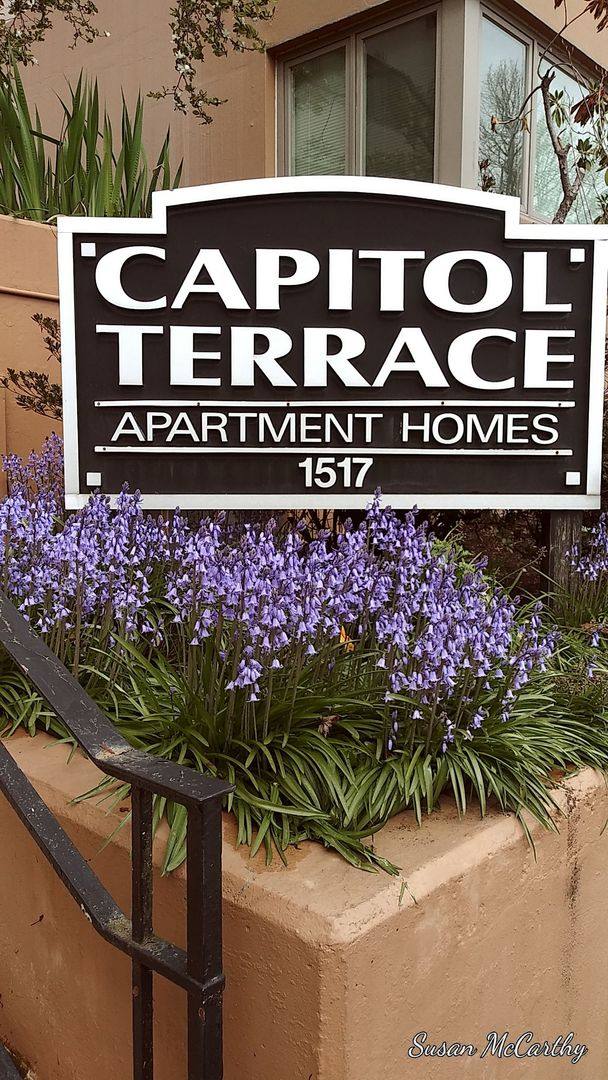 Apartment for rent at 1517 Capitol Way S, Olympia, WA 98501