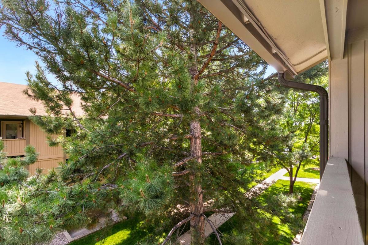 Apartment for rent at 710 City Park Ave, Fort Collins, CO 80521