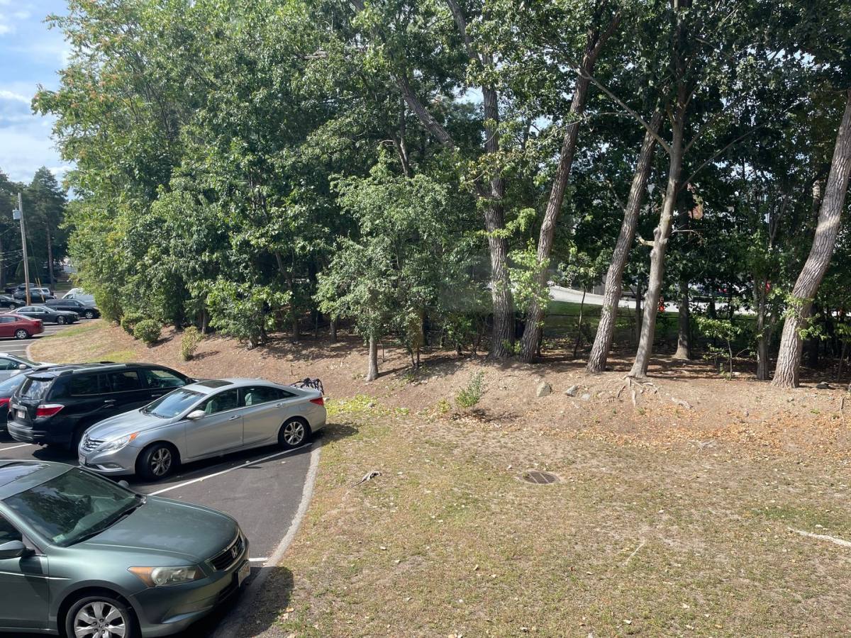 House for rent at 290 Grove St #4, Auburndale, MA 02466