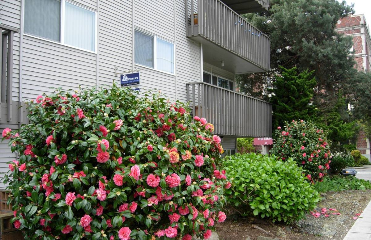Apartment for rent at 230 14th Ave E, Seattle, WA 98112