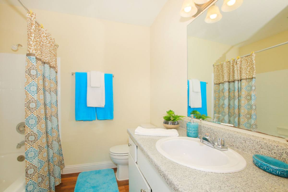 Apartment for rent at 313 Sunnyside St, Houston, TX 77076