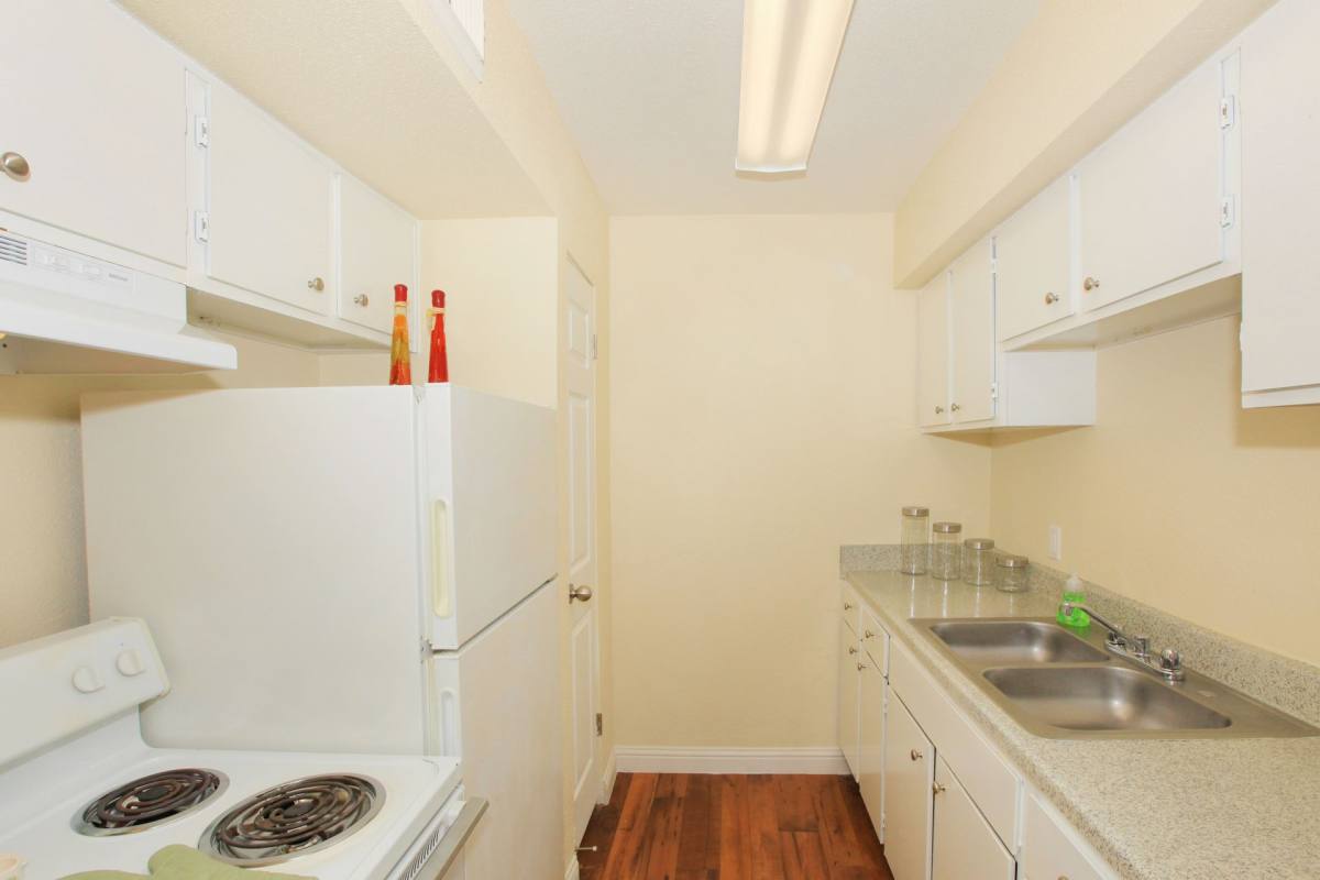 Apartment for rent at 313 Sunnyside St, Houston, TX 77076