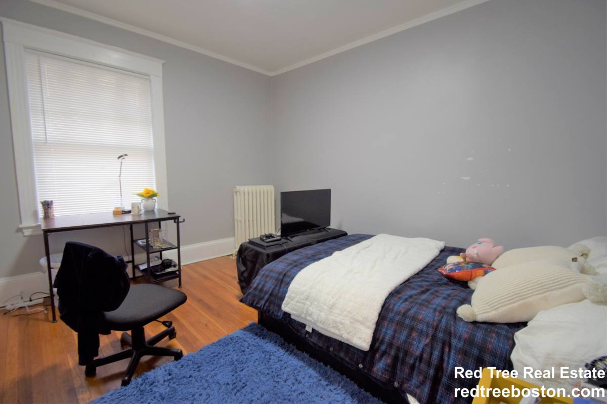 Apartment for rent at 235 Chestnut Hill Ave #1, Brighton, MA 02135