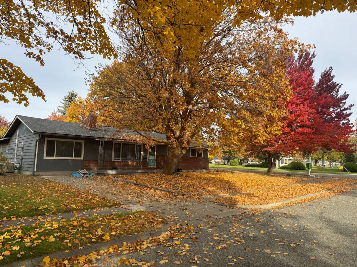 House for rent at 913 E Seattle Ave, Ellensburg, WA 98926