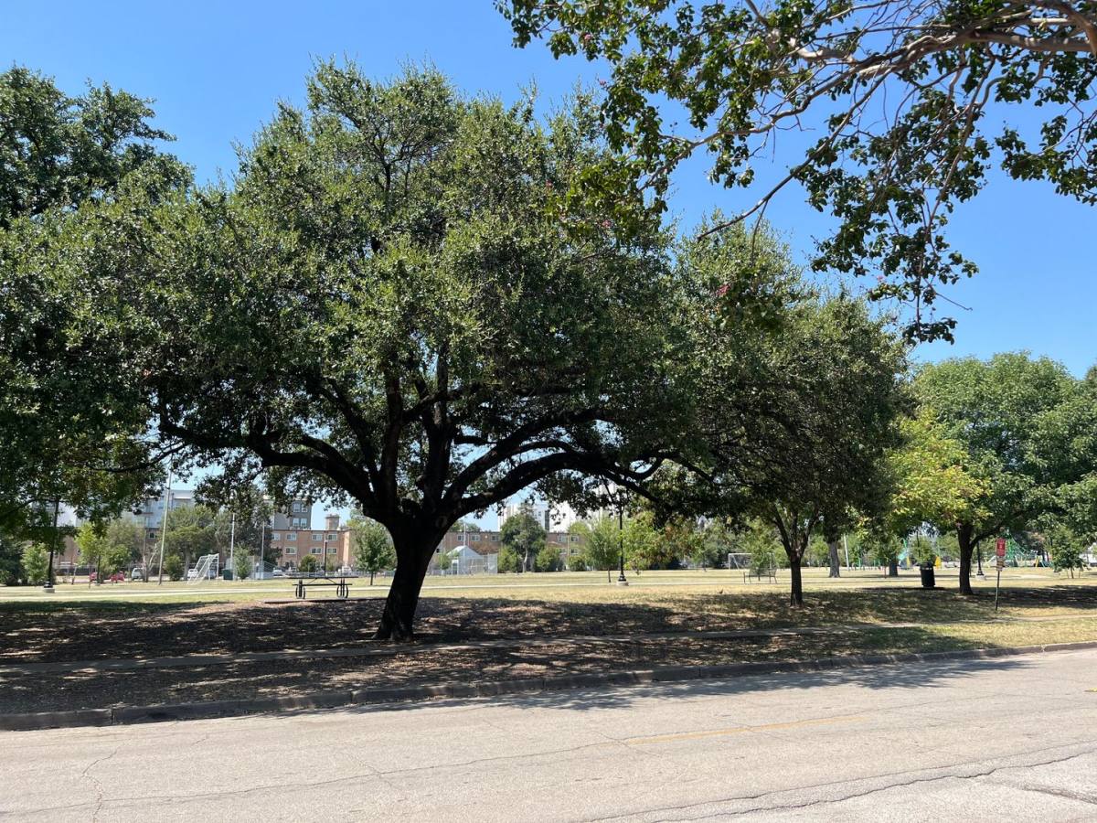 Apartment for rent at 5108-5110 Bryan St, Dallas, TX 75206