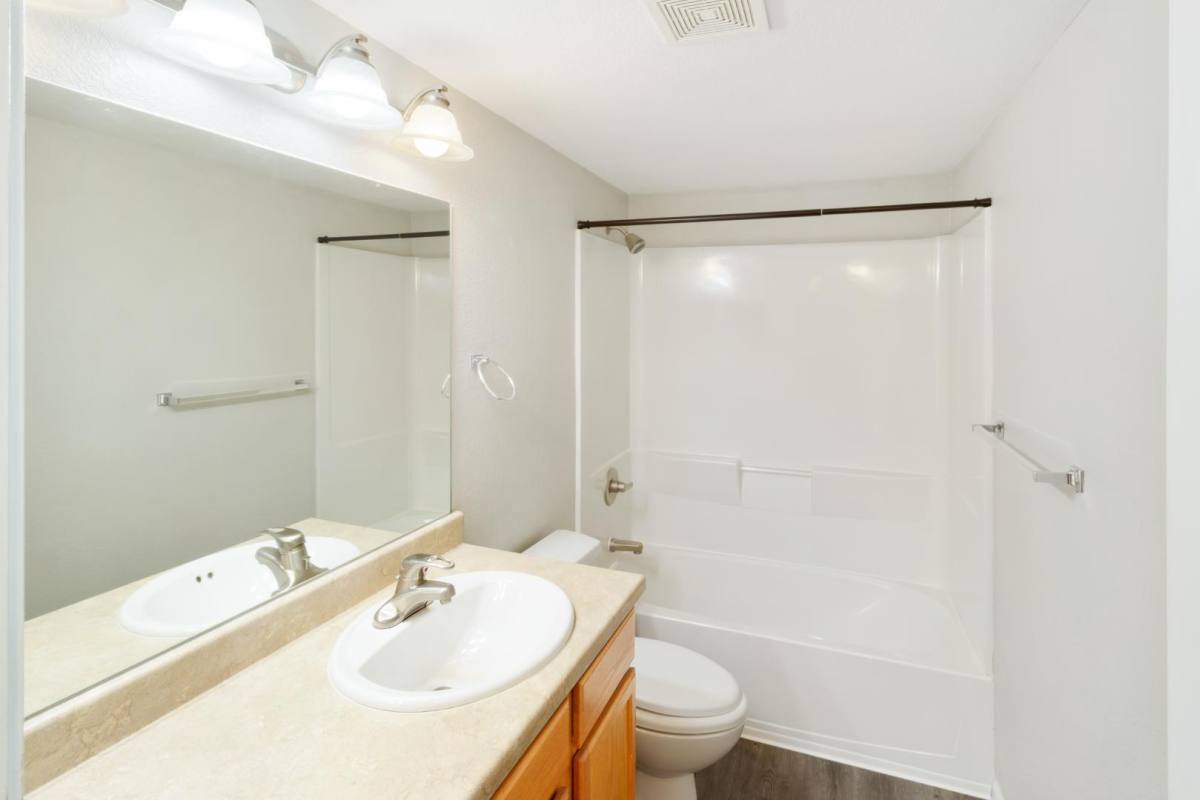 Condo for rent at 235 First St #235-O, Windsor, CO 80550