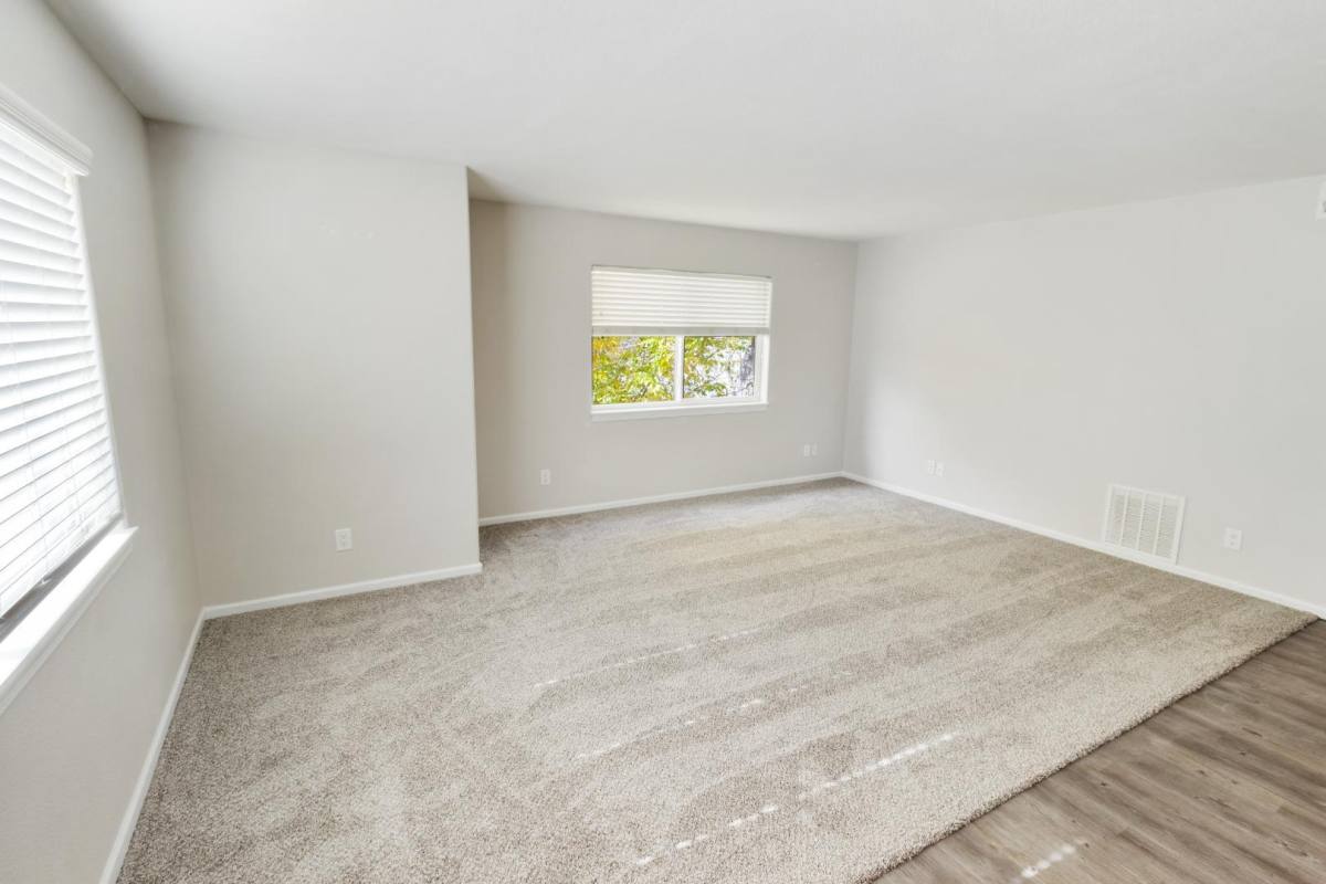 Condo for rent at 235 First St #235-O, Windsor, CO 80550