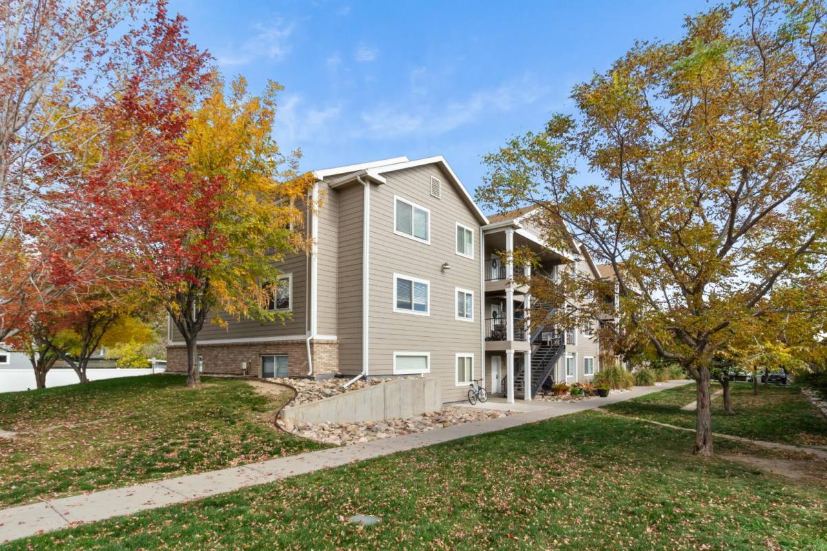 Condo for rent at 235 First St #235-O, Windsor, CO 80550