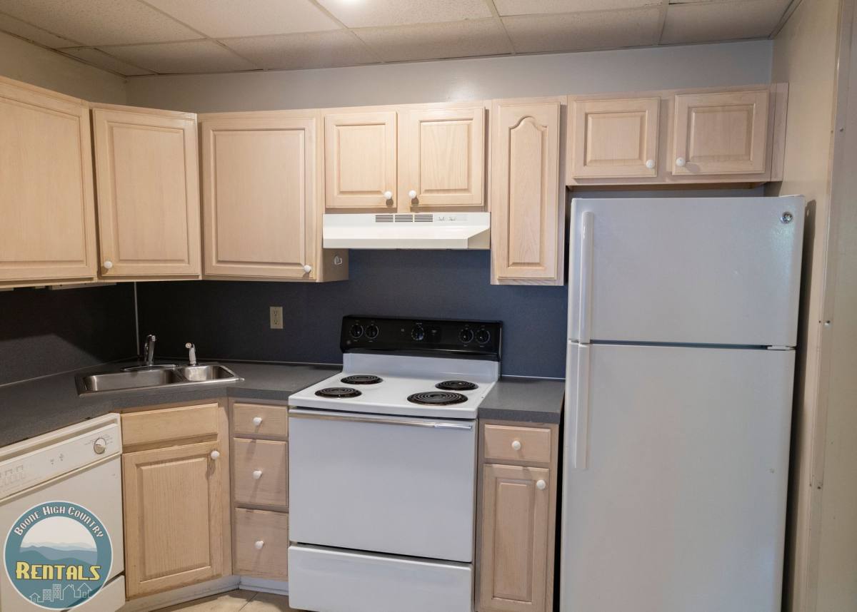 Apartment for rent at 164 Boone Creek, Boone, NC 28607