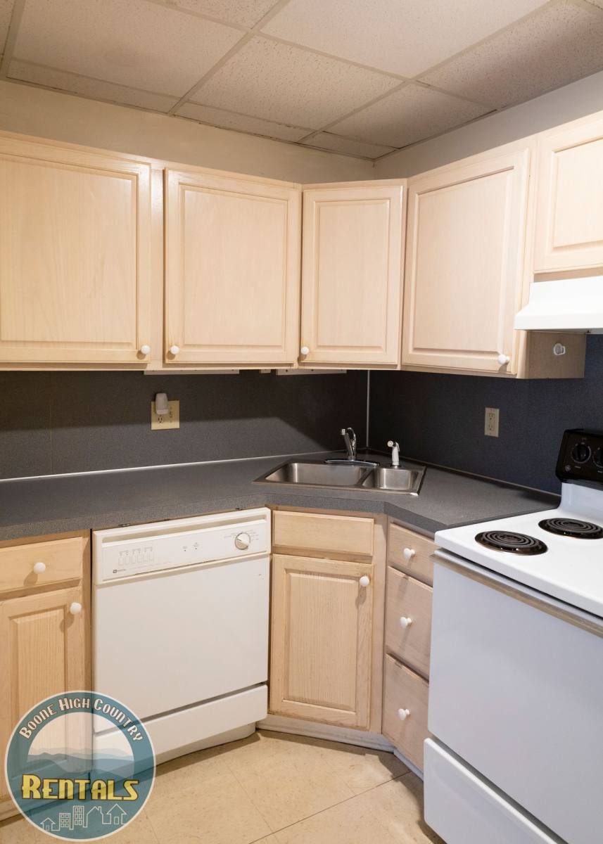 Apartment for rent at 164 Boone Creek, Boone, NC 28607