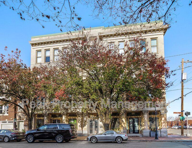 Condo for rent at 212 E Clay St #2D, Richmond, VA 23219