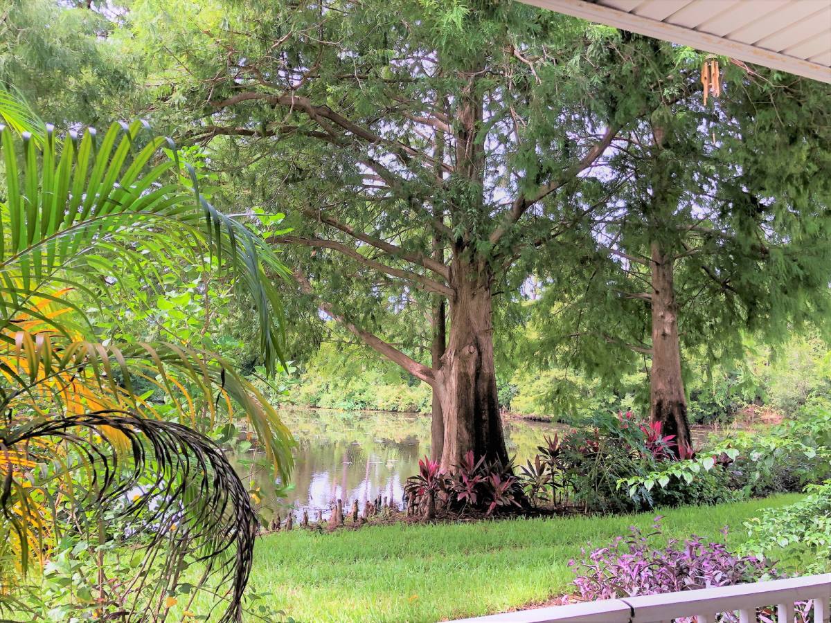 11520 Westwood Blvd, Orlando, FL 32821 - Condo For Rent - Image 8